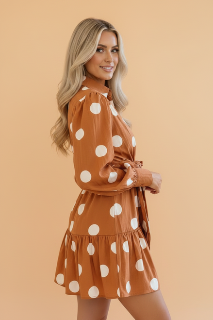 Polka Dot Long Sleeve Tie Waist Mini Dress